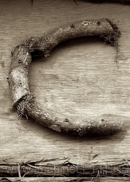 Wall_Art_Alphabet_Photography_Art_ 354.jpg